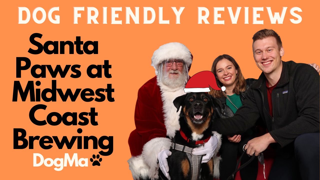 BREWERY REVIEW (DOGFRIENDLY) Midwest Coast Brewery, Chicago Illinois