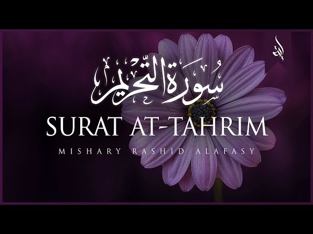 Surat At-Tahrim (The Prohibition) | Mishary Rashid Alafasy | مشاري بن راشد العفاسي | سورة التحريم class=