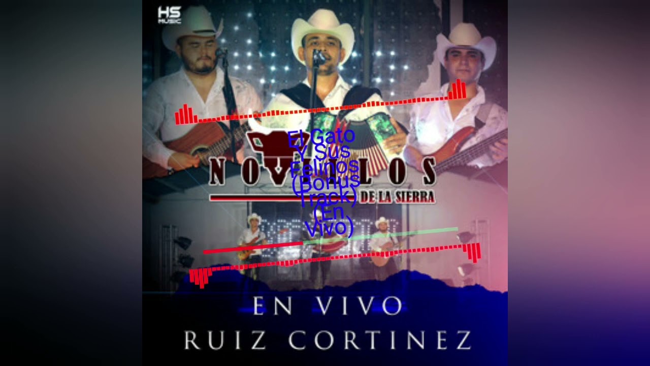 El Gato Y Sus Felinos (Bonus Track) (En Vivo) - Novillos De La Sierra [Epicenter Bass]