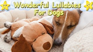 Relaxing Sleep Music For Dogs And Puppies ♫ Calm Your Dog Quickly