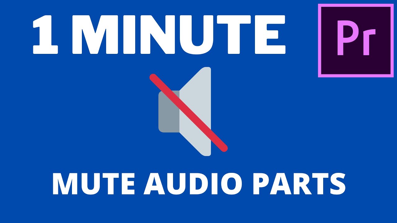 Premiere Pro CC How to Mute Part of Audio