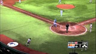 2012/10/03 Jones' sac fly