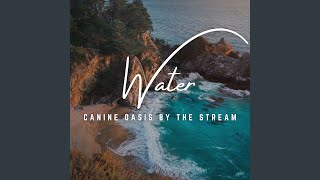 Streamside Serenity for Our Canine Friends