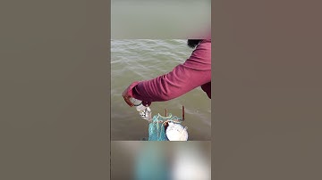 Unbelievable Mullet Fishing Hack: Bottle Trap & Maida Flour Trick!