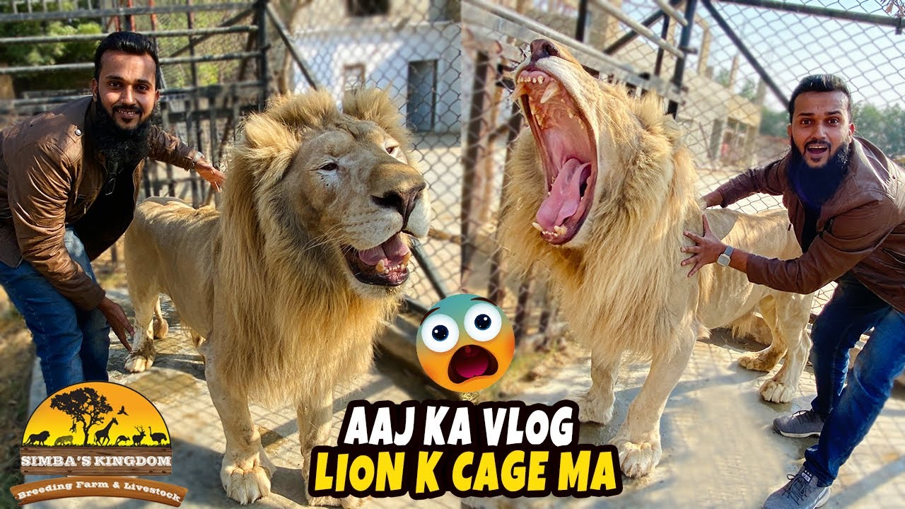 Aaj ka vlog banaya lion k cage ma 😱 simba kingdom karachi (Fahad Bhai Official)