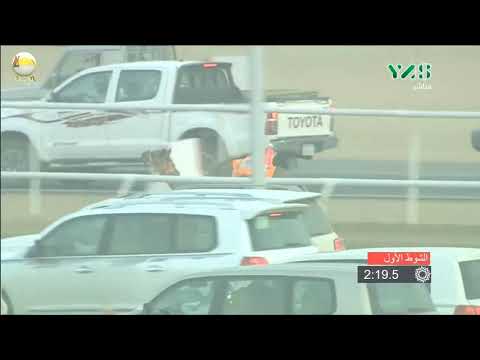 الشوط 1 سمران ل علي راشد سعيد المري مهرجان ولي العهد الأحد 2018 9 16 الطائف حقايق صباح