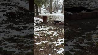 OH THE CHANGES OF WEATHER! #indiana #weather #snow #cold #newlife by Adventuring on the West Side 11 views 3 months ago 1 minute, 52 seconds