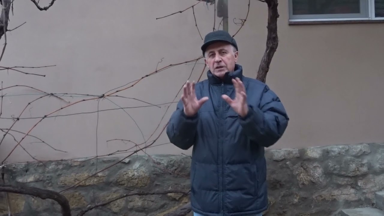 Poate știi greșit despre tăierile de iarnă. Când facem tăieri și la ce pomi?