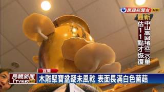 木雕聚寶盆長白菇  仙氣逼人另類藝術品－民視新聞