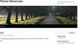WP FP iFrame Setup Tutorial