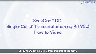 SeekOne™ DD Single-Cell 3' Transcriptome-seq Kit V2.3 Workflow Series 06 - Emulsion Break & Cleanup