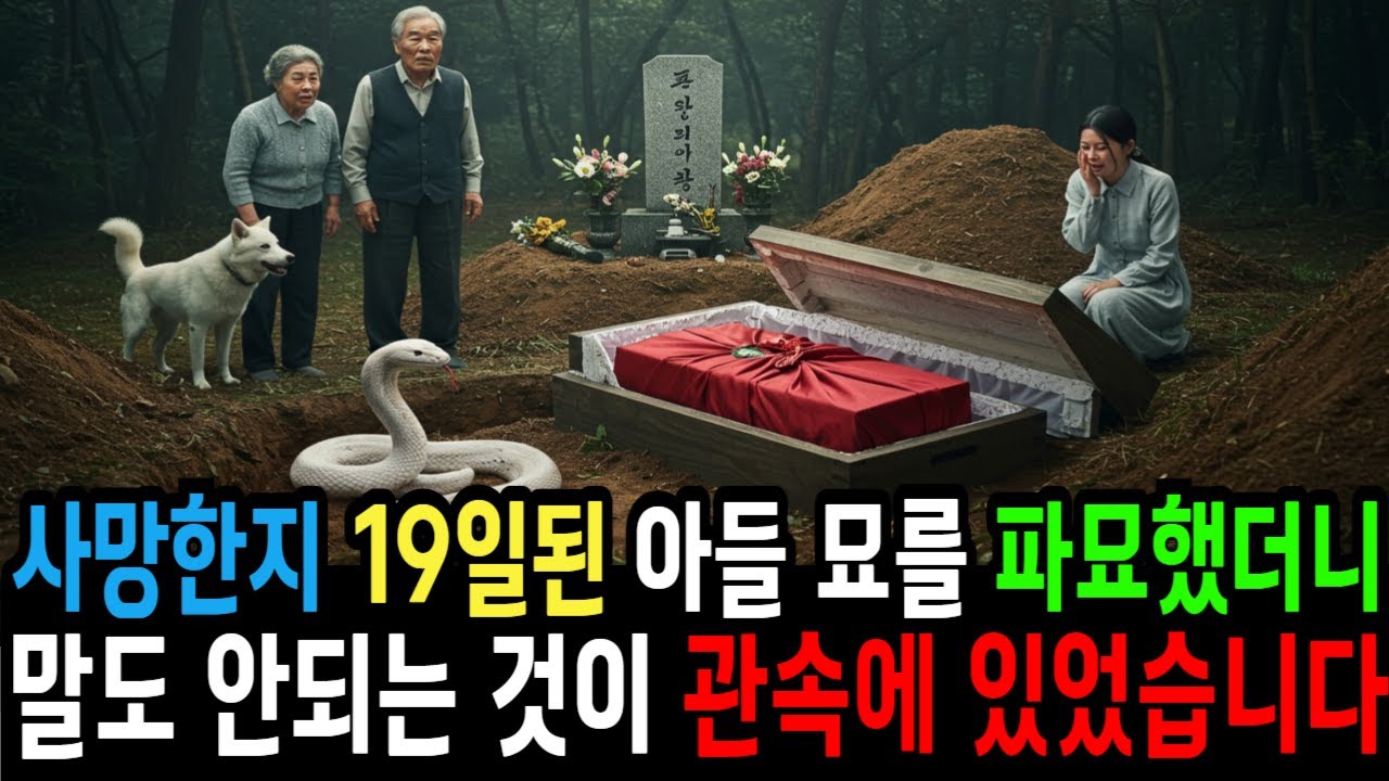 사망한지 19일된 아들 묘를 파묘했더니 말도 안되는 것이 관속에 있었습니다