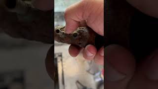 I found out why my work was leaking fuel when I was filling up. ##diy  #diyprojects #fixingstuff