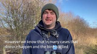 Gamekeeper caught on camera killing buzzards