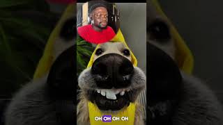 This is the Hardest Challenge 😂 #funny #mhacommunity