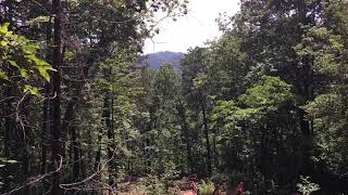 Celebrity Solar eclipse North Carolina 2017. Time lapse by Evan link below Profile