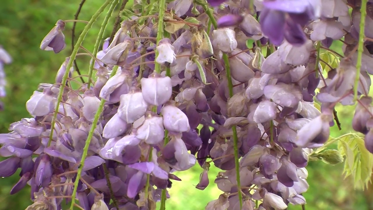 Centre Val de Loire : le jardin de Drulon (Cher)