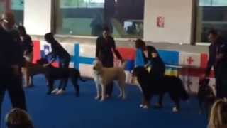 Jch. Eyva Bayaz Bury .Tisao.cz