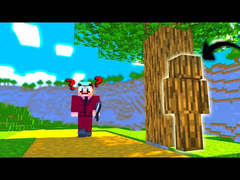 Piilosta MINECRAFTISSÄ 20 Pelaajan kanssa