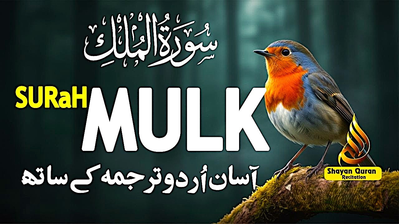 Сура Аль-Мульк | Успокаивающее сердце чтение для защиты, покоя и ночи | Кари Мансур