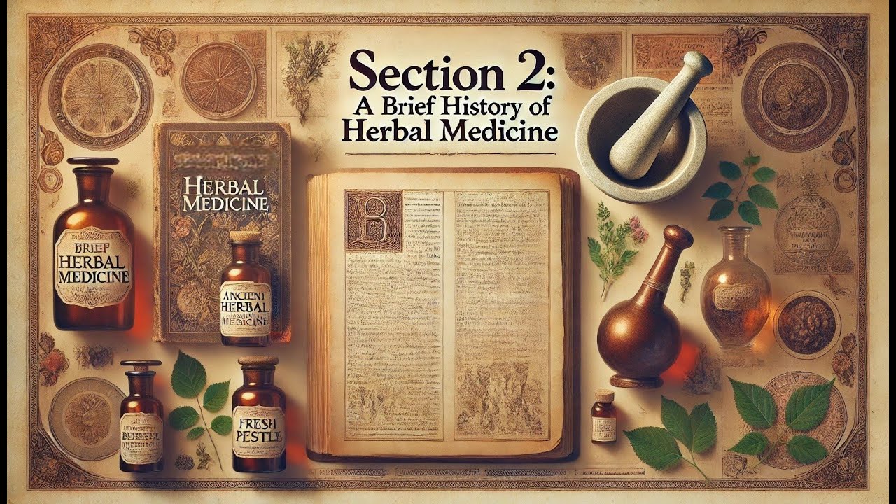 Course 1 - Lesson 1 - Section 2: A Brief History of Herbal Medicine