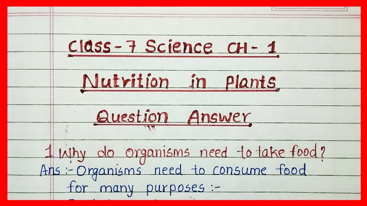 nutrition in plants class 7 questions and answers | class 7 science ...