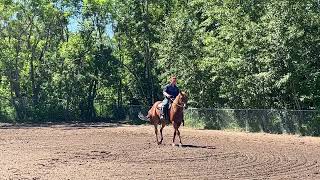 How to get your leads in horsemanship, same form to go around a barrel in barrel racing￼