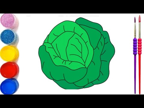 How to Draw a cabbage for very simple and easy drawing || Arya Drawing Art ||