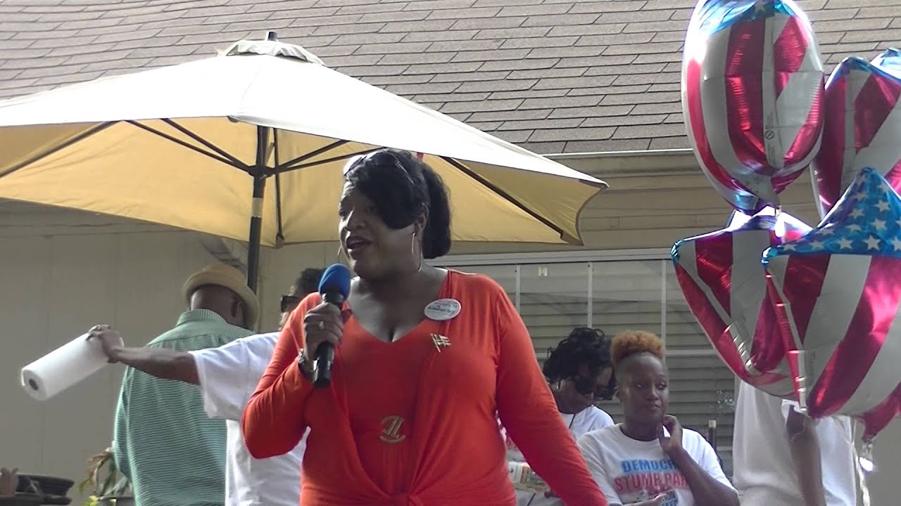 Allison Brownlee State Democratic Executive Committee 33 YouTube