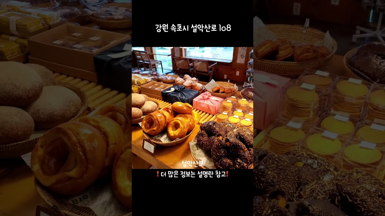 속초 카페 추천☕️ 설악산로 #쇼츠 #shorts #속초 #카페 #설악산로 #cafe