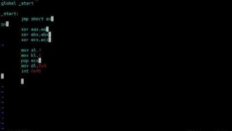 How to get shellcode