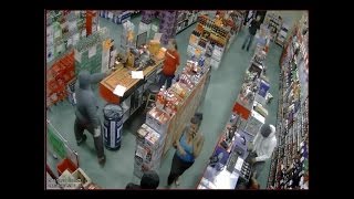 Lee s surveillance