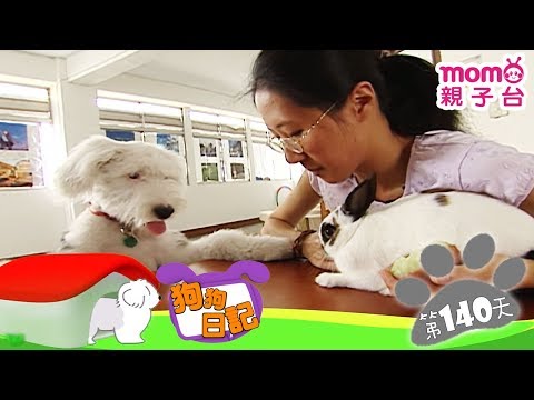 【吃蓮霧】狗狗日記：誕生第140天 │ momo親子台【官方HD完整版】 - 【吃蓮霧】狗狗日記：誕生第140天 │ momo親子台【官方HD完整版】