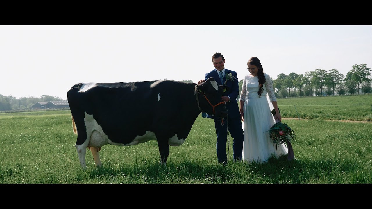 Bruiloft Pieter & Hanne