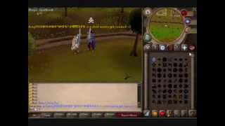 Nickpkz 508 server