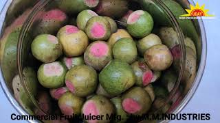 Mixer Grinder | Commercial Fruit Pulp Machine | Guava Pulp Machine | Capacity 10Ltr up to 1000Ltr
