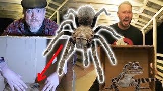 WHAT'S IN THE BOX CHALLENGE WITH REAL LIVE ANIMALS | OmarGoshTV