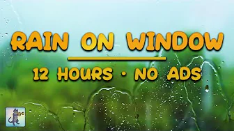 12 HOURS of Heavy Rain on WINDOW for Sleeping! 🌧 (NO THUNDER) • No ads