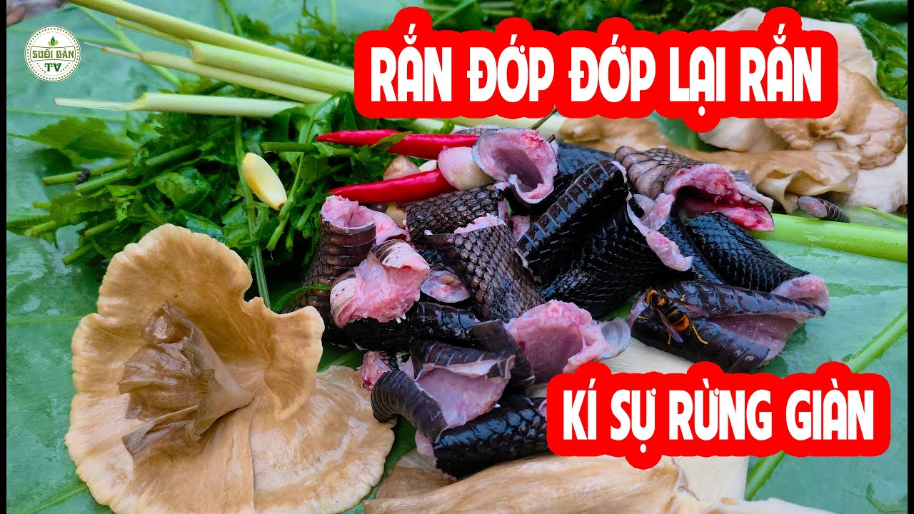 Vào Rừng Vấp Phải Rắn Hổ Tý Thì Ăn Khợp - Vấp Phải Hàng Đ*ộc Nhưng Vẫn Phải Ăn  ✧ Suối Bản Tv