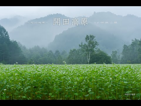 光の情景ー癒しの風景写真（4K ) 草原の風ー甘茶の音楽工房