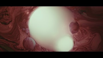 MCR - Macro Footage Montage