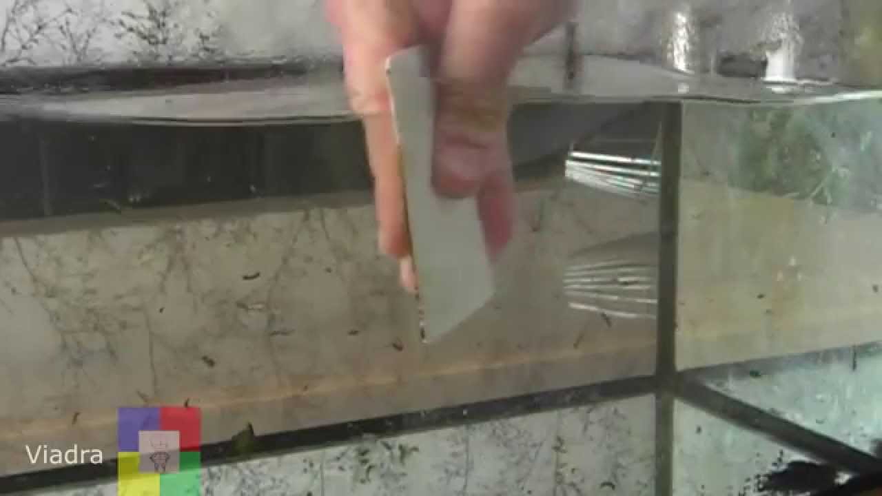 Aquarium putzen leicht gemacht - Die Scheiben reinigen mit einer Plastikkarte