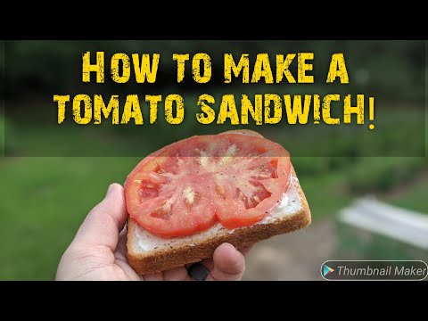 Cara membuat tomat Sandwich!