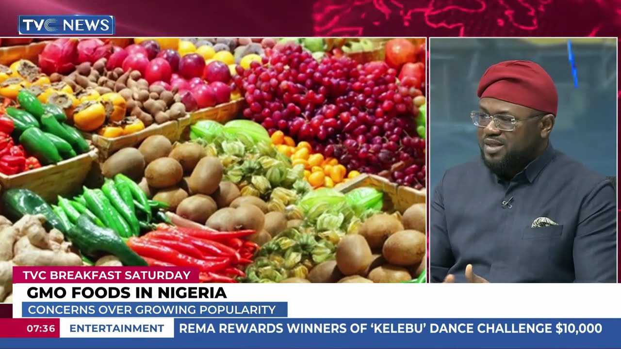 Segun Adebayo Analyses GMO Foods in Nigeria: Concerns Over Their Growing Popularity