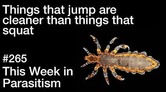 TWiP 265: Things that jump are cleaner than things that squat