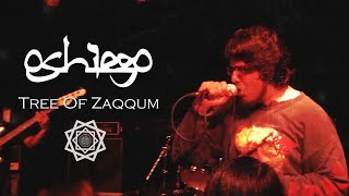 Download Lagu Oshiego - The Tree Of Zaqqum (Official Lyric Video) MP3