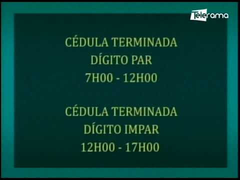 CNE establece horario de votación según número de cédula