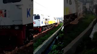 Ka Argo Wilis Hampir Nemper Kucing