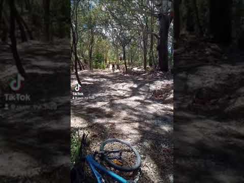 Hitting some gaps