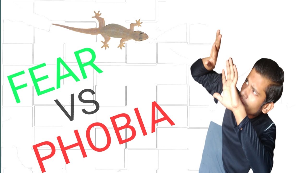 डर और फोबिया में अंतर Difference between Fear and Phobia exact ...